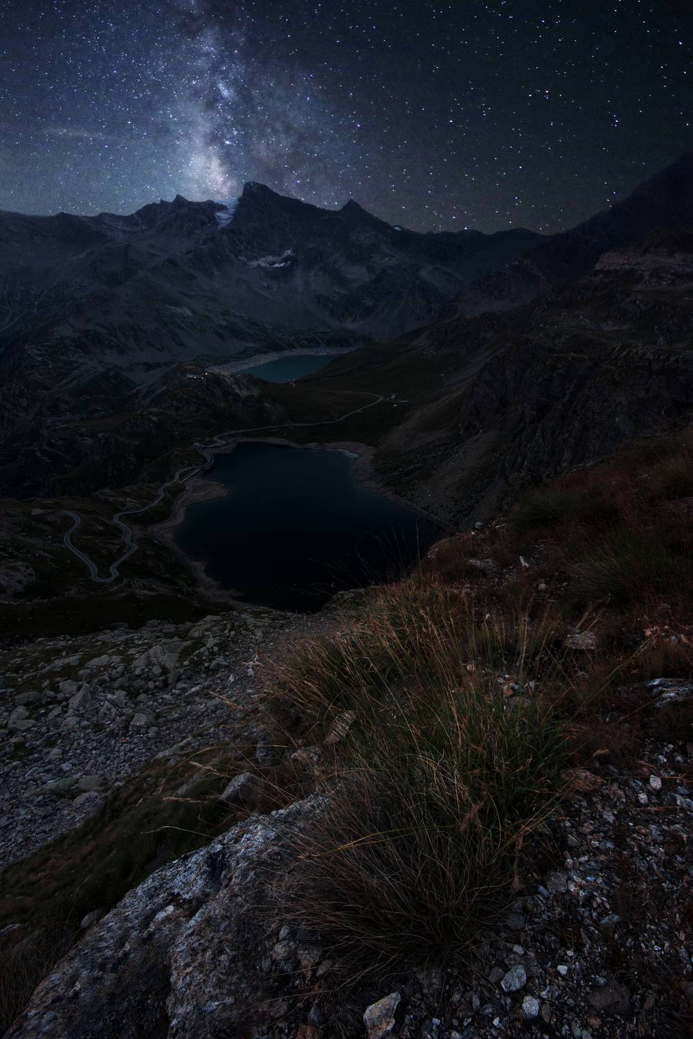 Photo #8490266