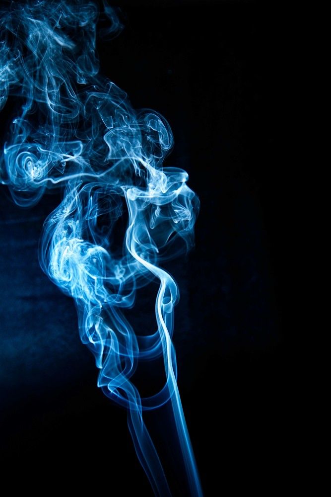 Photograph by Mário C.