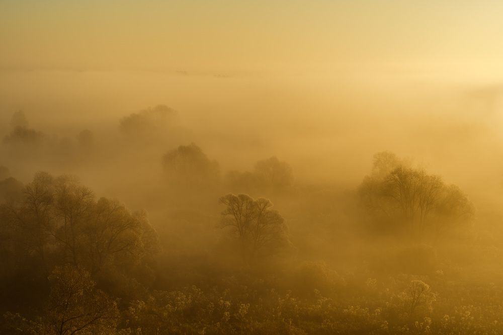 Photograph by Барабанов Алексей