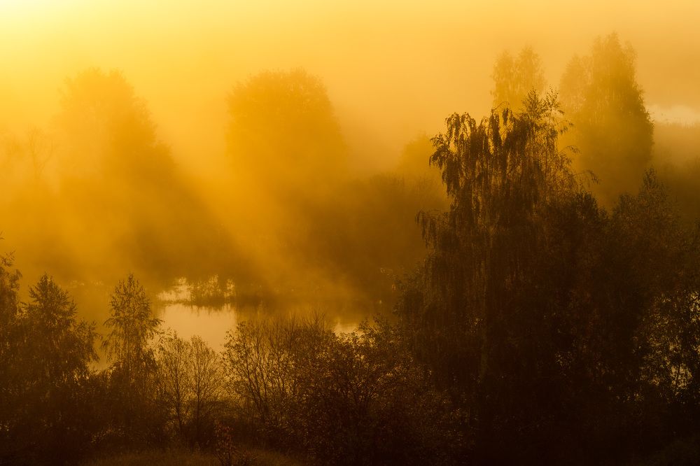 Photograph by Барабанов Алексей