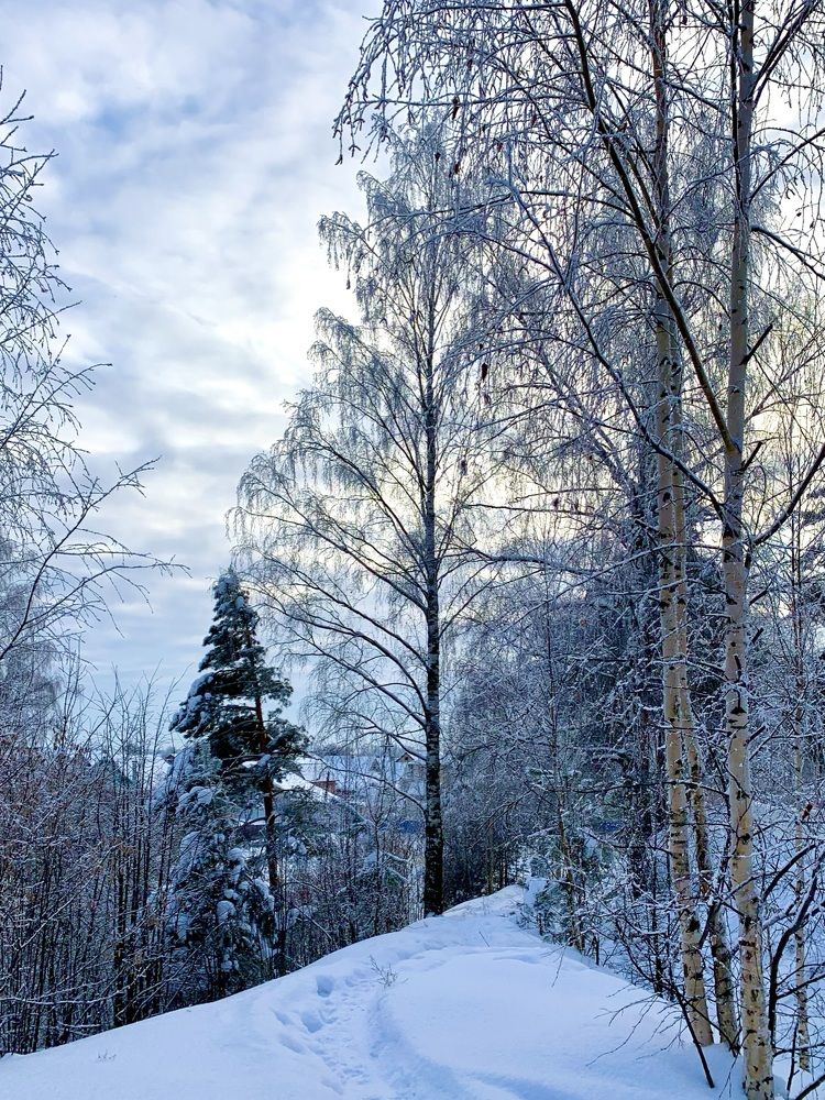 Photograph by Ольга Старкова