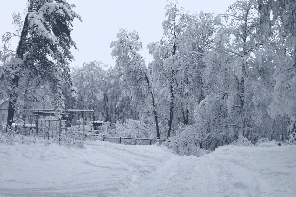 ночной пейзаж