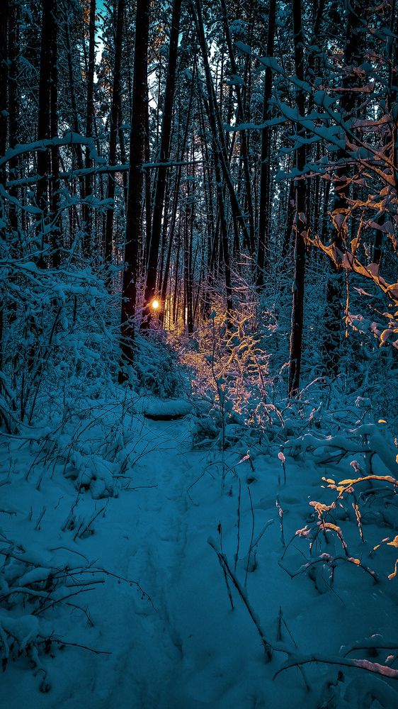 Фотография автора Всеволод Юрша