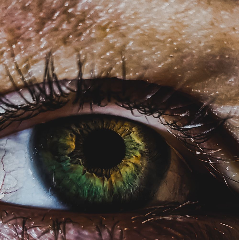 Фотография автора Всеволод Юрша