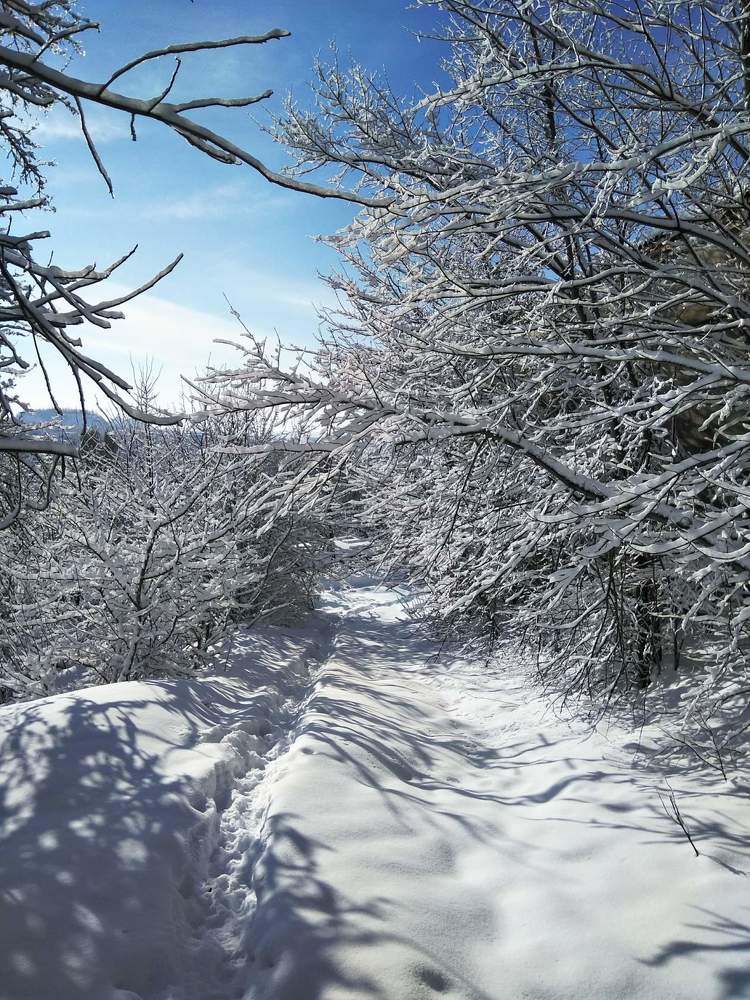 Photograph by Анка Ldinka