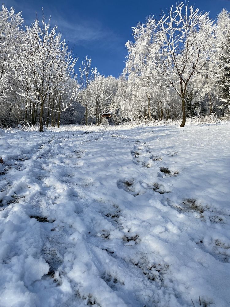 Photograph by Оксана Сидоренко