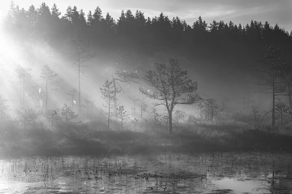 Photograph by Ярослав Лукьянов