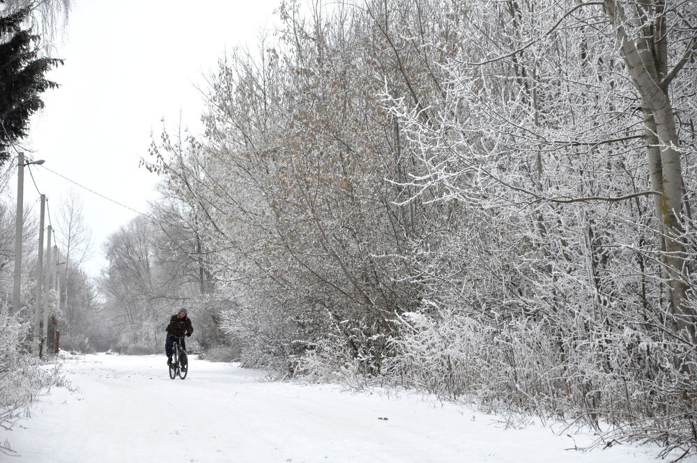 Photograph by Лысых Галина