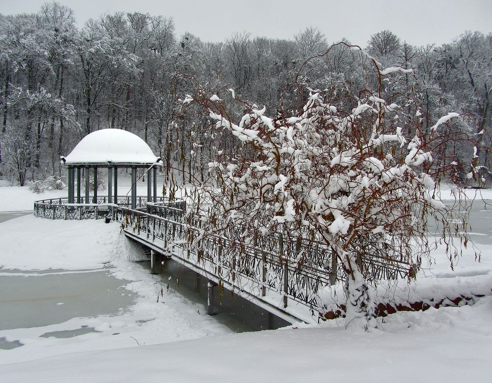 Photograph by Виктор