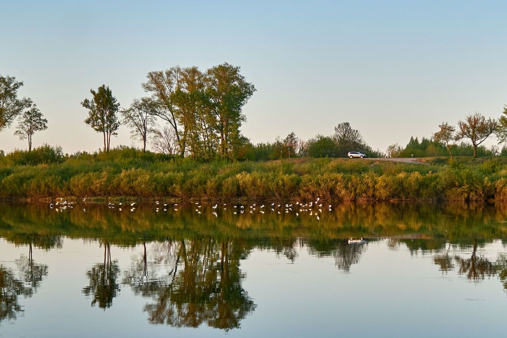 Фотография автора Igors Selivanovs