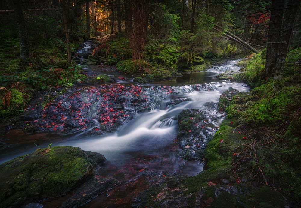 Photograph by Андрей Ожерельев