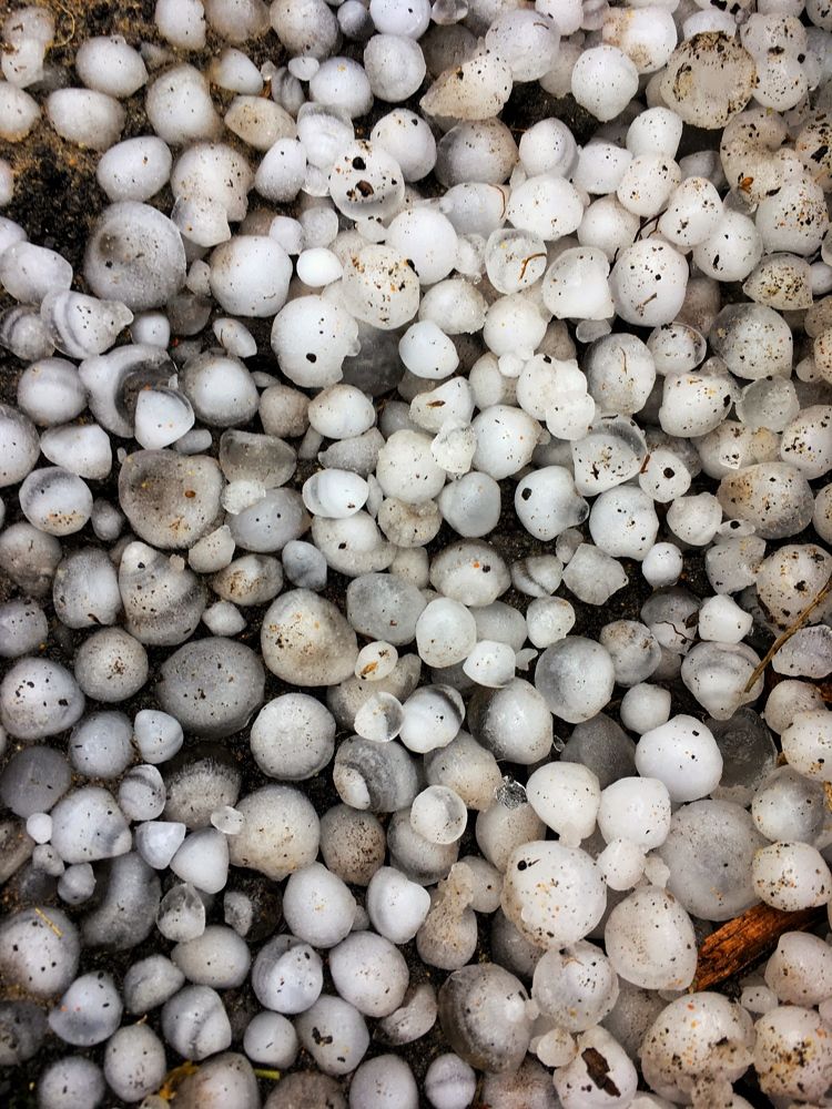 Photograph by Анастасия Глушкова