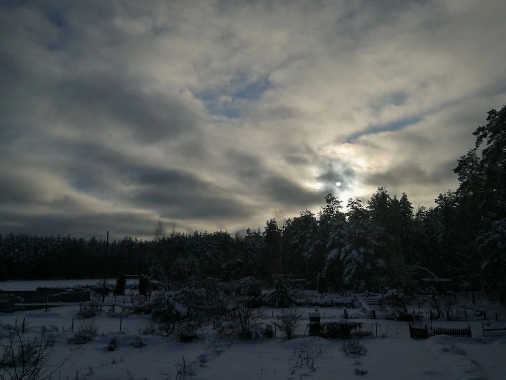 Photograph by Овечкин Павел