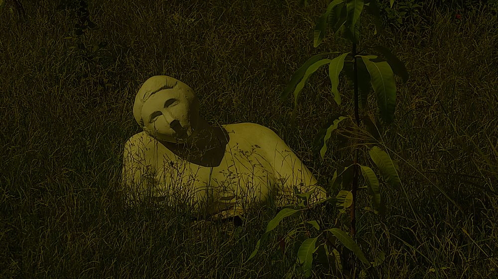 Фотография автора John Salib