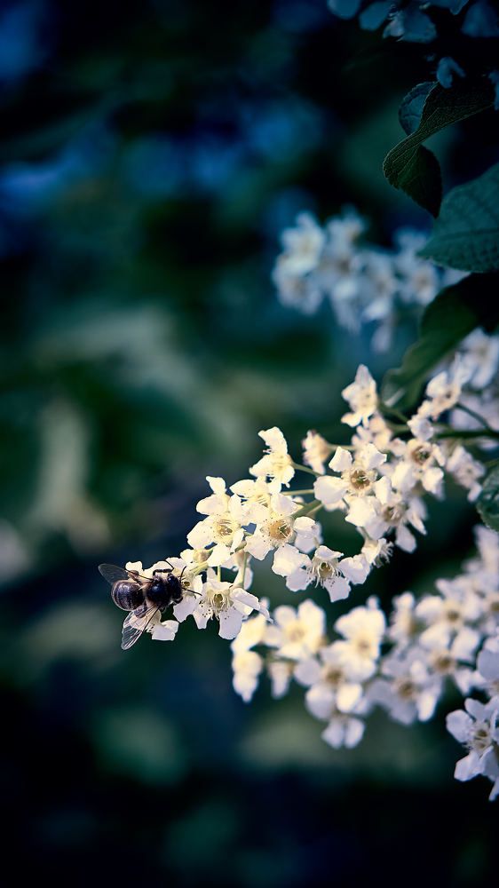 Photograph by Евгений Имамутдинов
