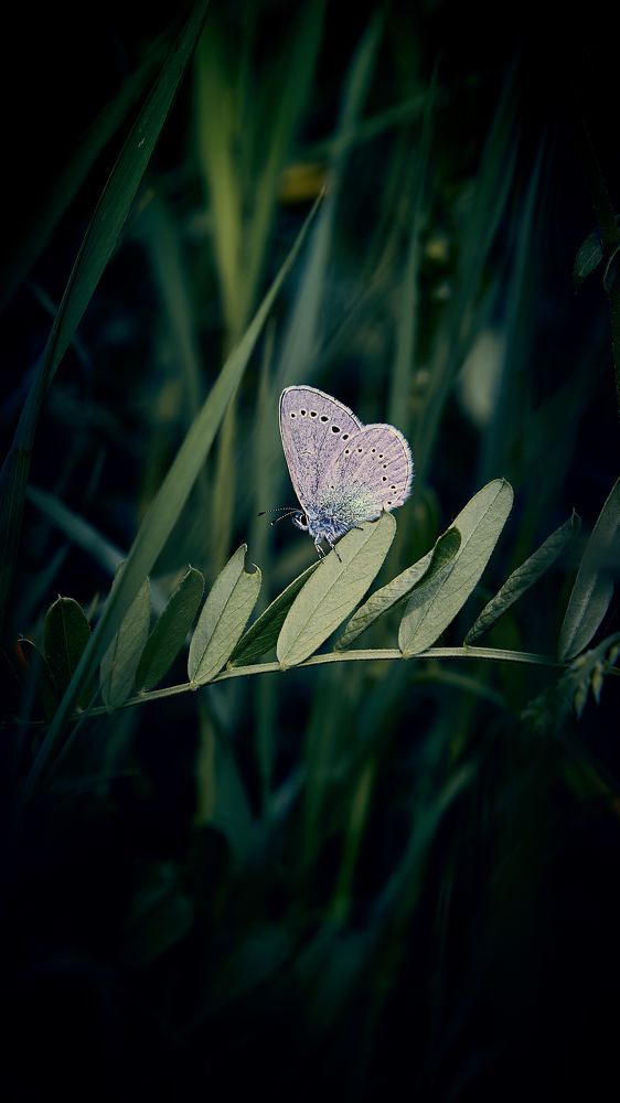 Photograph by Евгений Имамутдинов