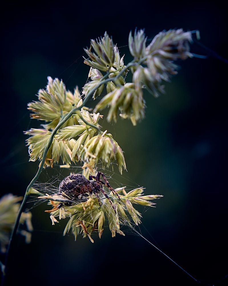Photograph by Евгений Имамутдинов