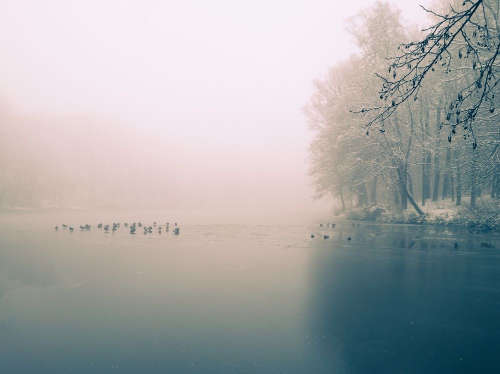 Photograph by Дмитрий Грошиков