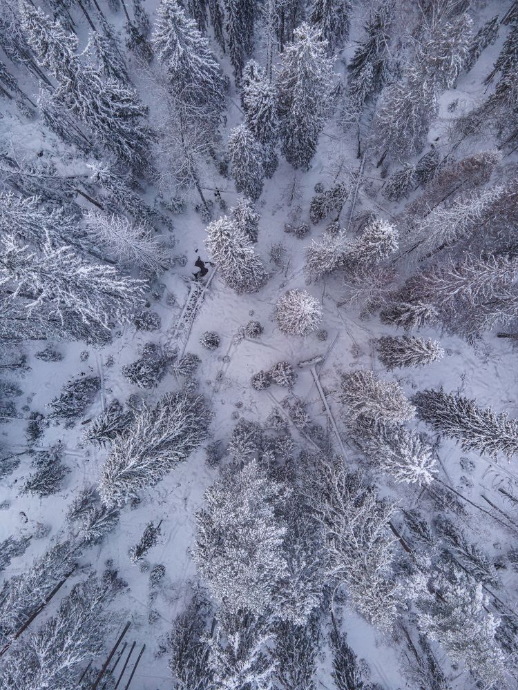 Photograph by Александр Сочнев