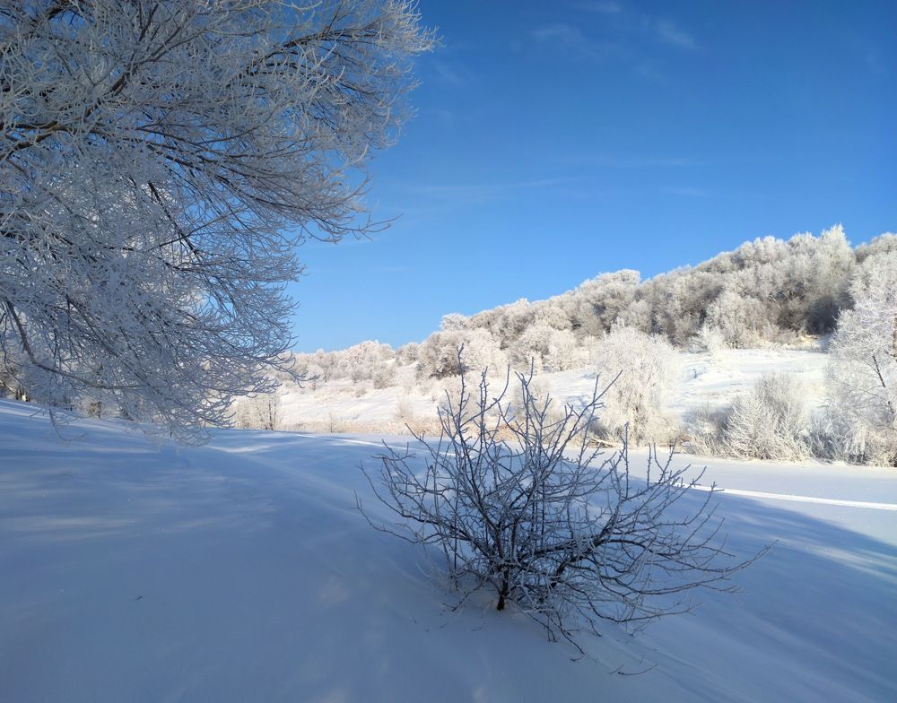 Фотография автора Александр Андреянов