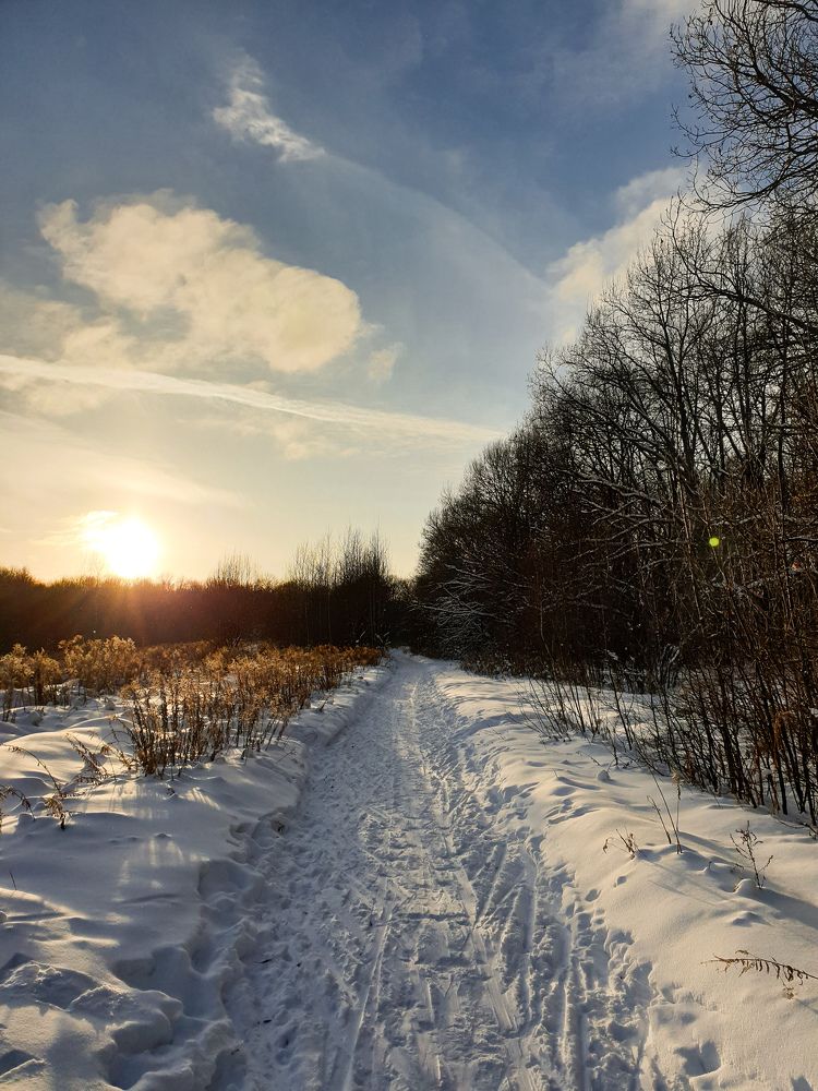 Photograph by Андрей Шелуков