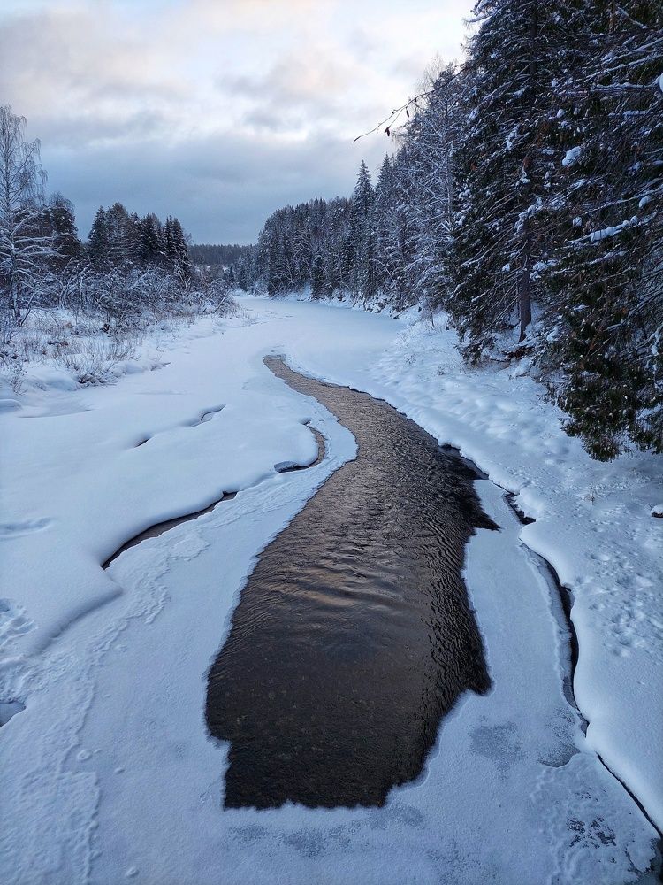 Парк Оленьи ручьи
