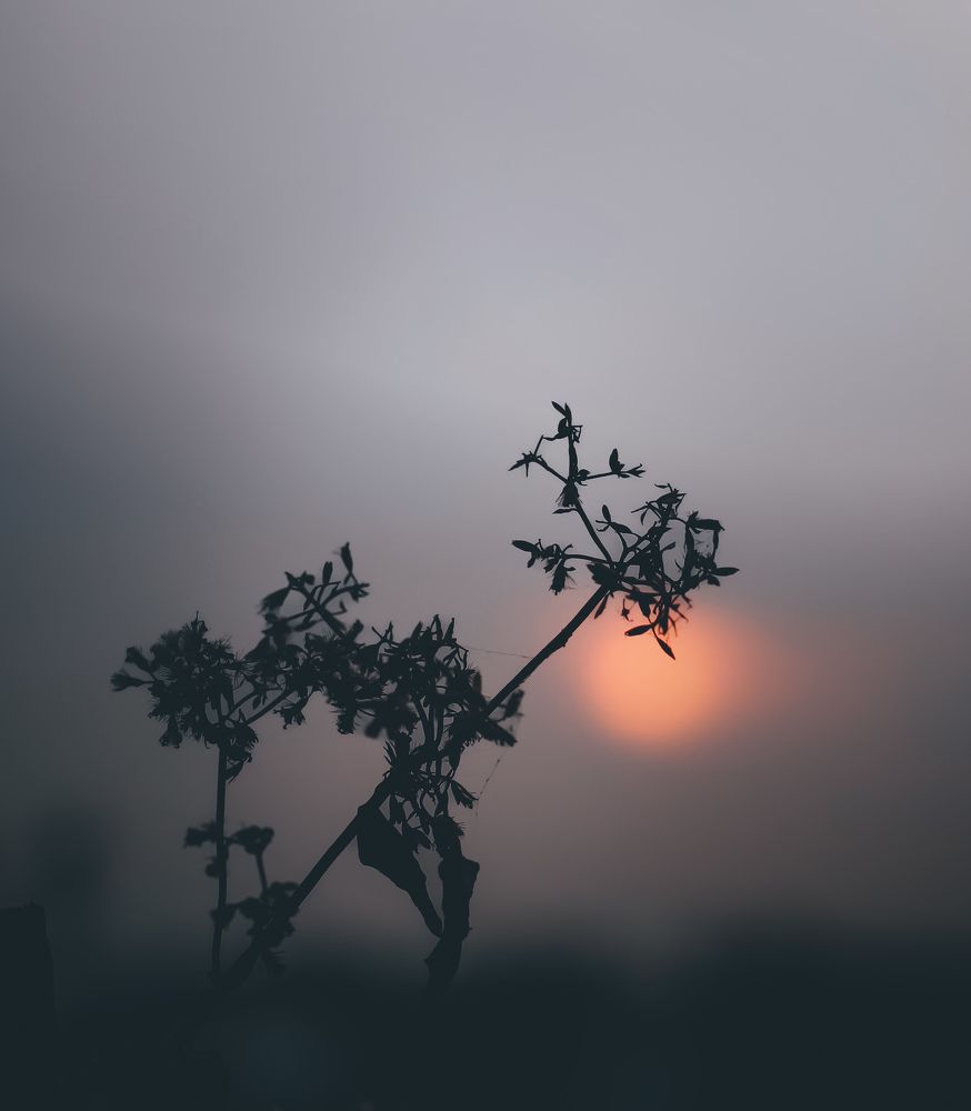 Photograph by Treesnawaty Rahim