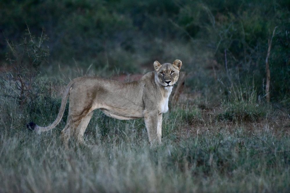 Photograph by Ombeline Olmer