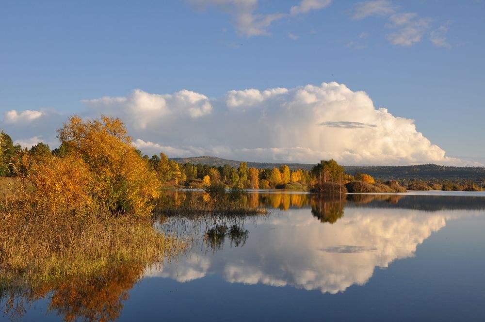 Photograph by Светлана