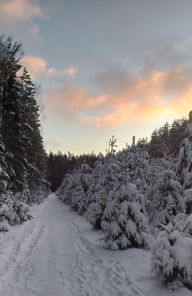 Photograph by Юлия Майкова