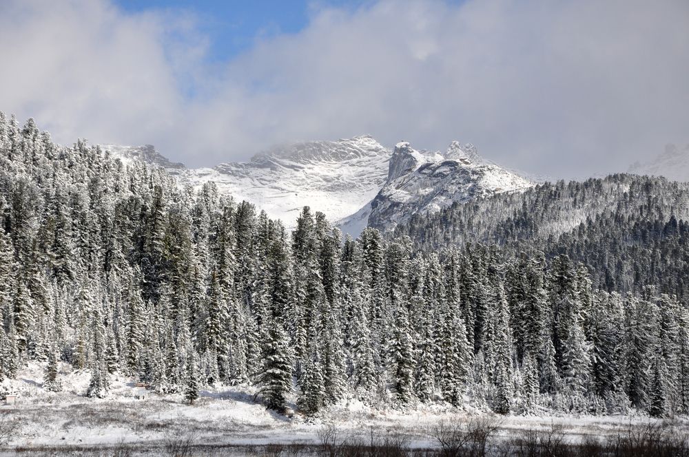 Photograph by Светлана