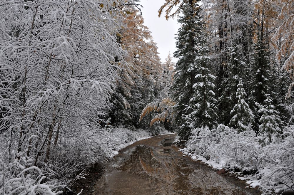 Photograph by Светлана