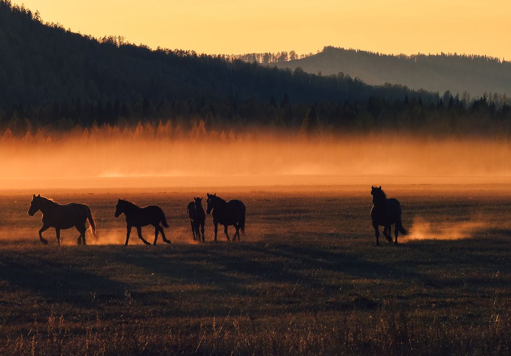 Photograph by Татьяна Мещерякова