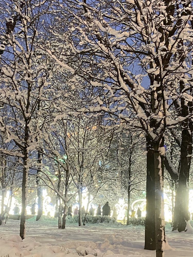 Photograph by Юлия