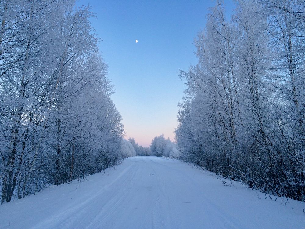 Photograph by Татьяна Гринько