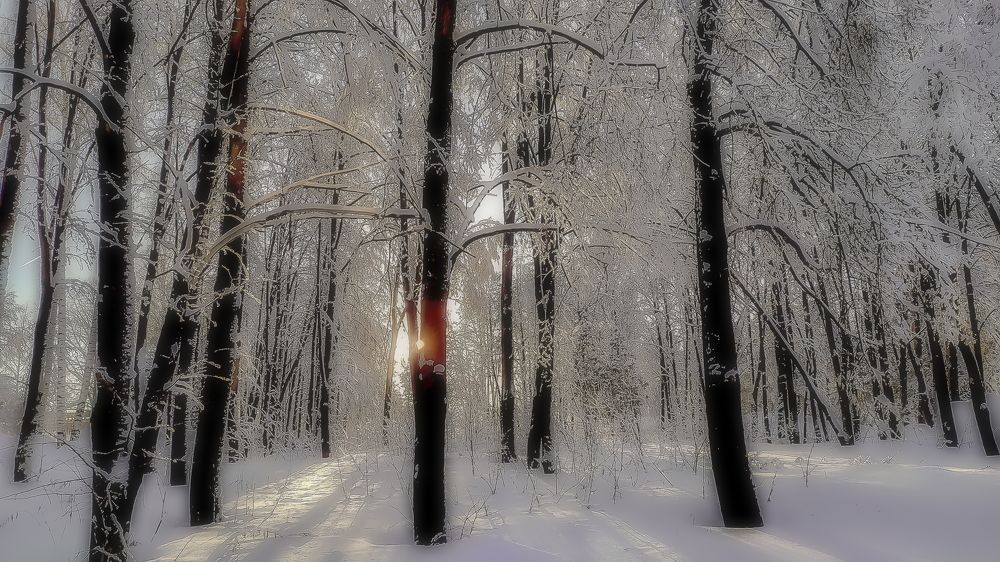 Photograph by Сергей