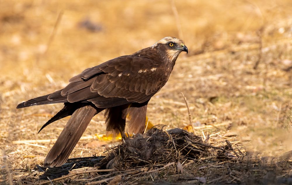 Photograph by Vahid Yavari