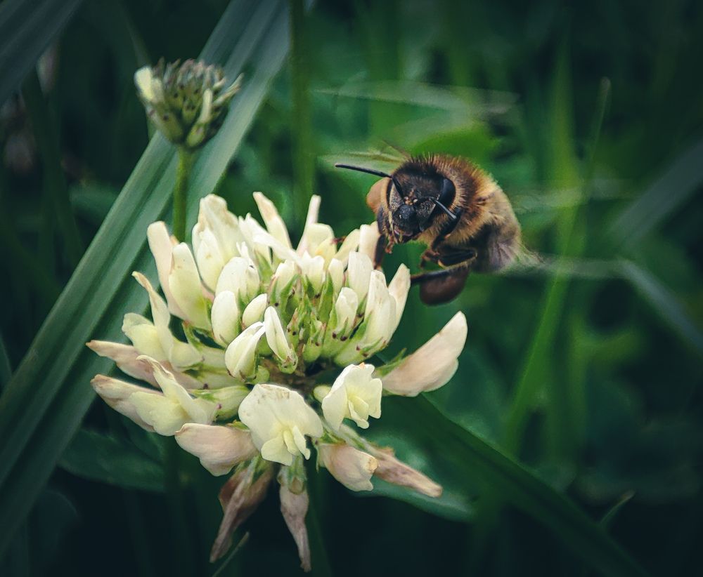 Photograph by Александра Петрова