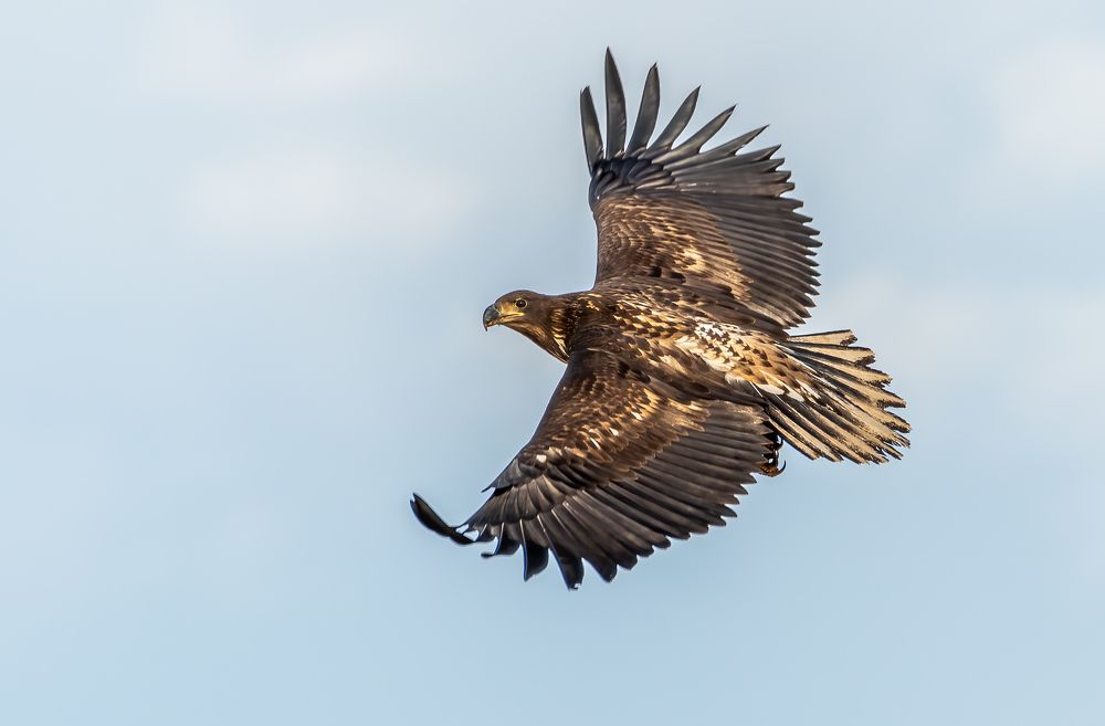 Photograph by Vahid Yavari