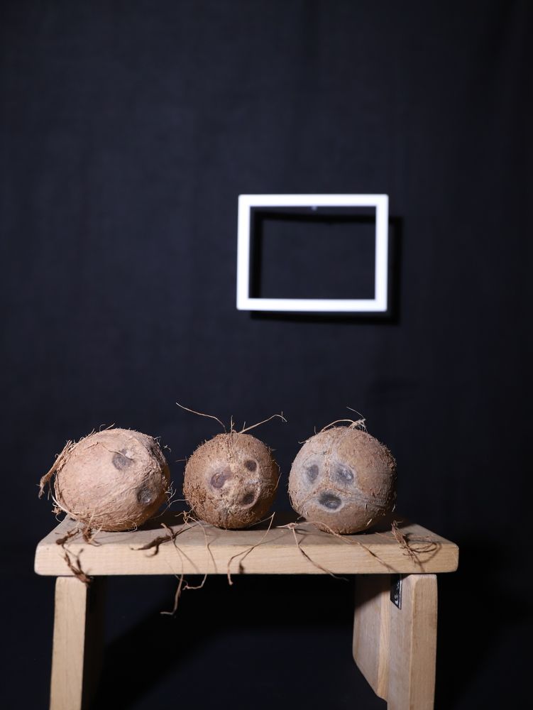 Photograph by Елена Тимченко