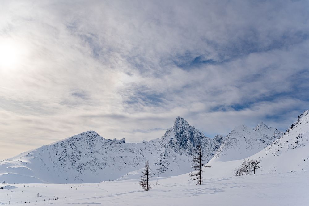 Photograph by Сергей Пашнов