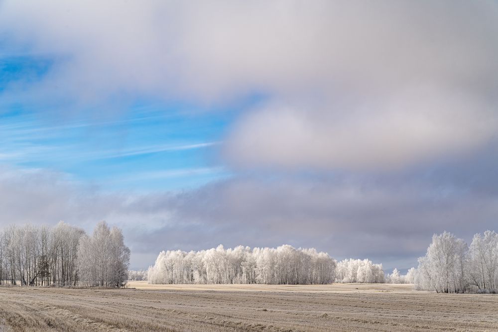 Photograph by Сергей Пашнов