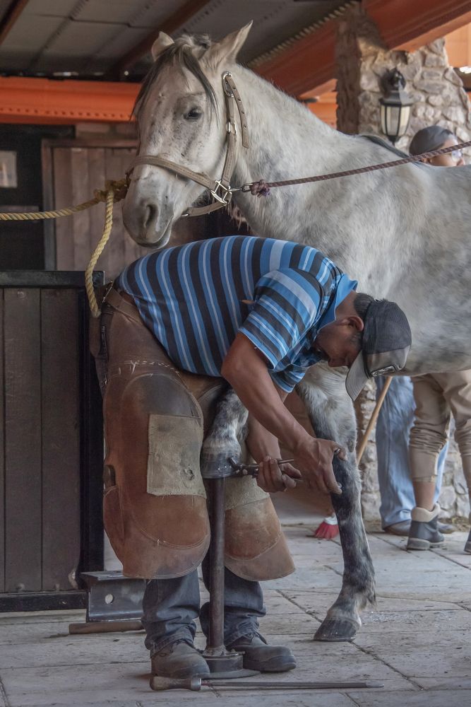 Photograph by Aлена Плясова