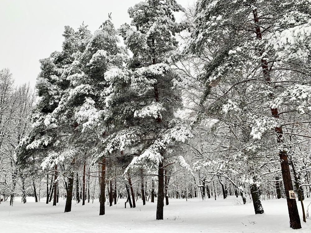 Photograph by Elena Lukashina
