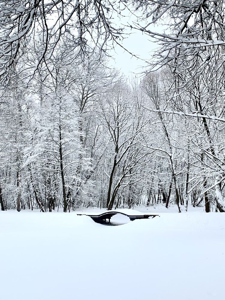 Photograph by Elena Lukashina