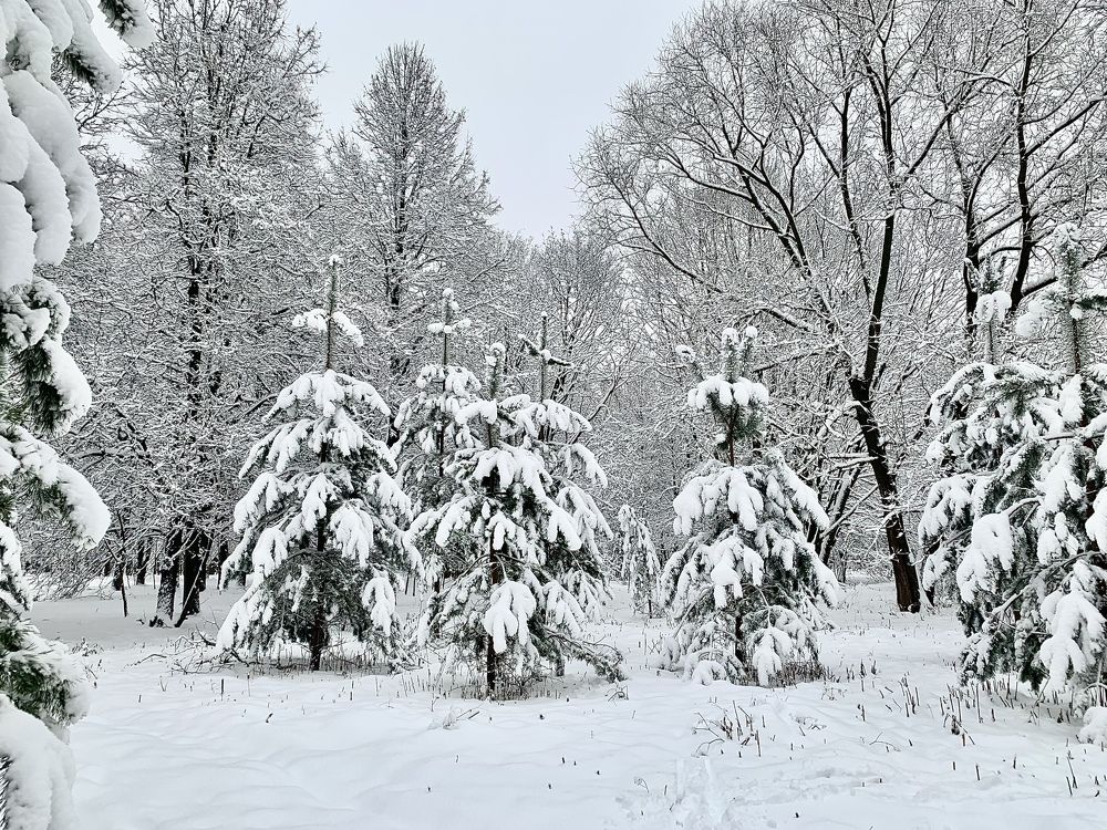 Photograph by Elena Lukashina