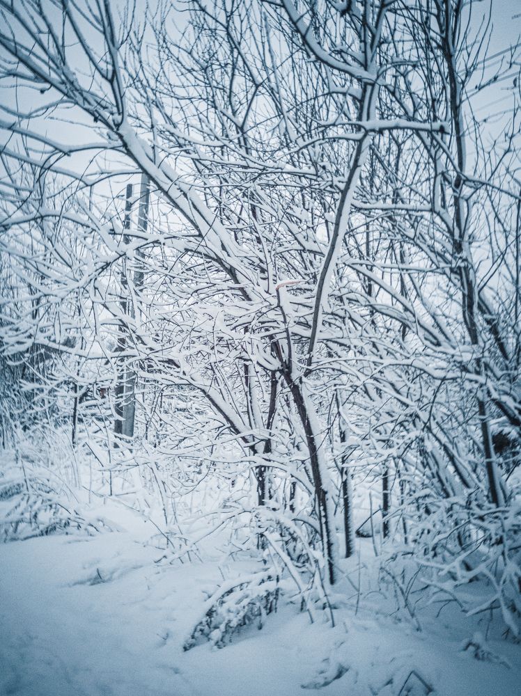 Photograph by Daria