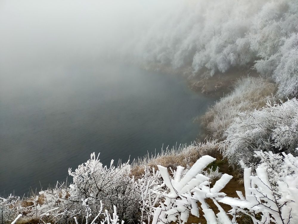 Photo #8491173