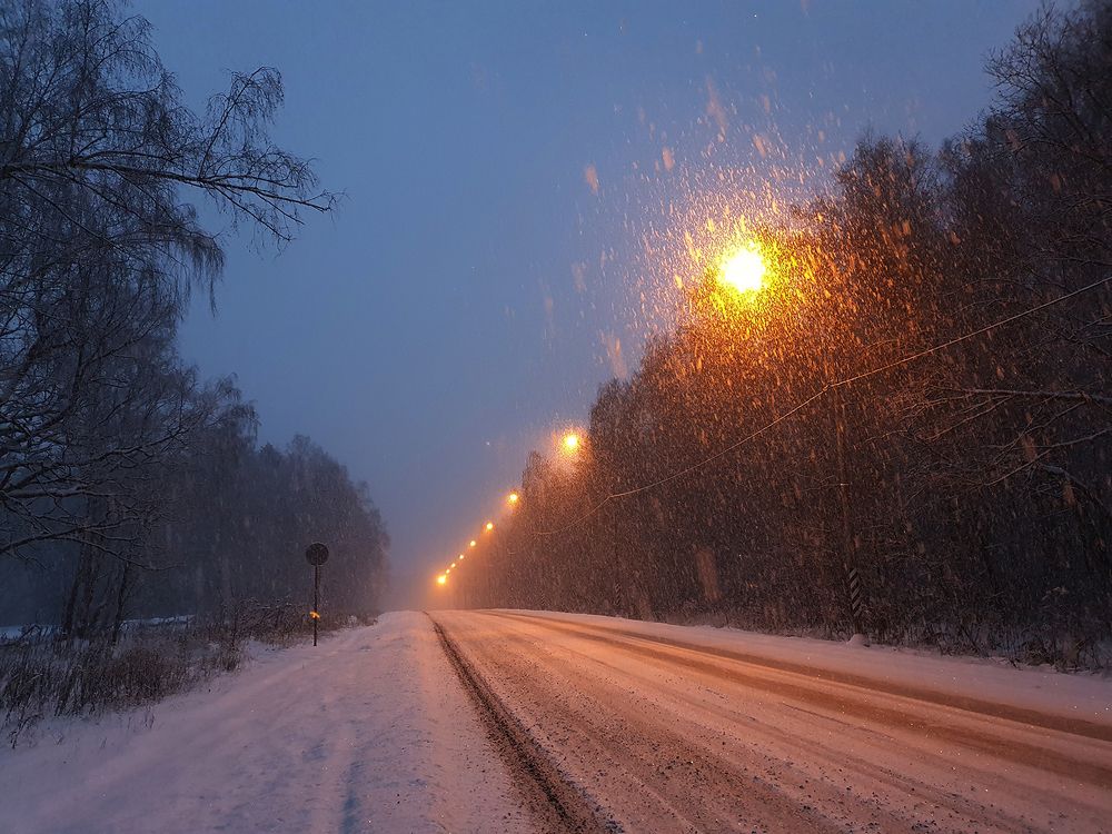 Фотография автора Надежда Лисицына