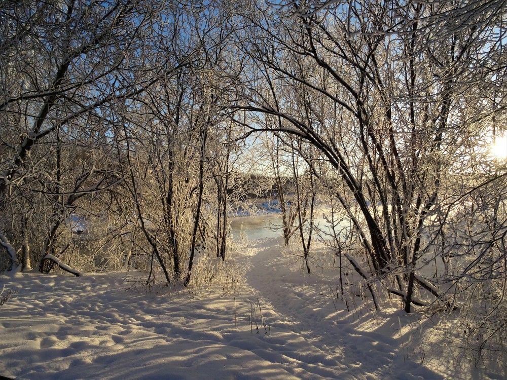 Photograph by Марина Раткун